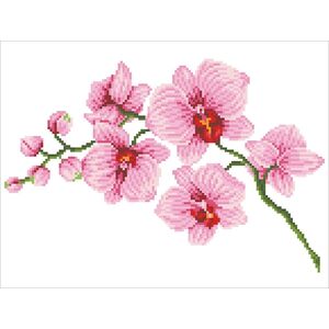 DIAMOND DOTZ Haft diamentowy Diamond Dotz Orchidea 49x39cm DD6034 13912988 4895225921768