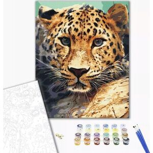 Norimpex Malowanie po numerach BRUSHME, 40x50 cm, portret lamparta, 1 szt. 13977341 5901498127659