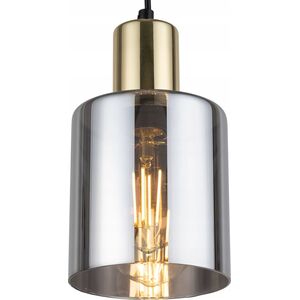 Lampa wisząca TKKRYWULT TK Lighting Sierra 6661 lampa wisząca zwis 1x15W E27 grafitowa/złota 14078189 5901780566616