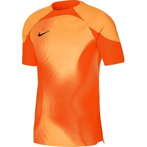 Nike Koszulka bramkarska Nike Dri-FIT ADV Gardien 4 DH7760-819 : Rozmiar - XXL (193cm)