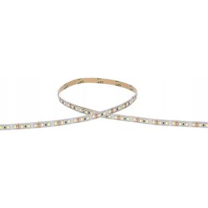 Taśma LED Prescot Prescot PR024-100-10-RGB+WW taśma LED biała