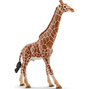 Figurka Schleich Samiec żyrafy (14749)
