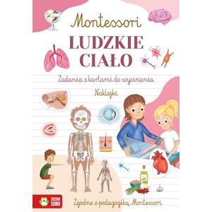 Zielona Sowa Montessori Ludzkie ciało 97057
