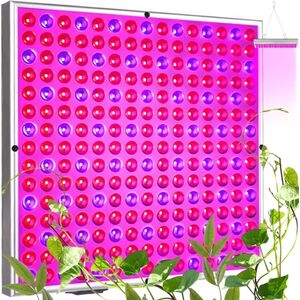 Lampa wisząca Gardlov Lampa/ panel 225 LED do wzrostu uprawy rośl. 23525
