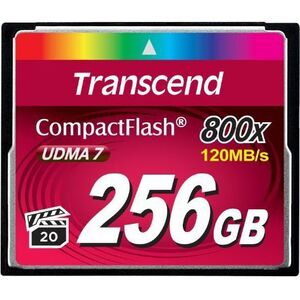 Karta Transcend 800x Compact Flash 256 GB  (TS256GCF800)