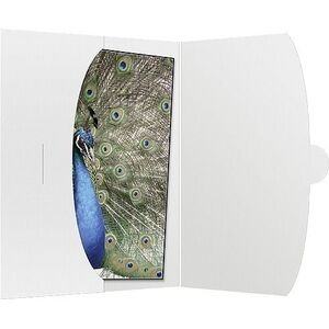 Daiber koperty na zdjęcia 15x20, 50 sztuk (09021)