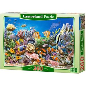 Castorland Puzzle Rafa Koralowa 260 elementów (27279)