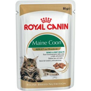 Royal Canin Maine Coon karma mokra w sosie dla kotów dorosłych rasy maine coon 12x85g