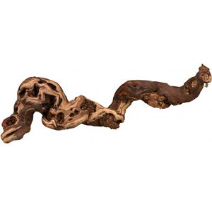 Trixie Korzenie winorośla 5szt. piaskowane 35-45cm