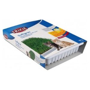 Trixie TRAWA DLA KOTA W POJEMNIKU 100g