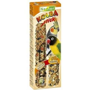 Nestor KOLBA PAPUGA ŚREDNIA BISZKOPT+MIÓD
