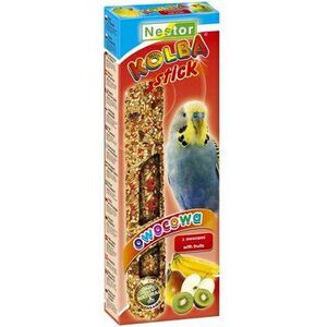 Nestor KOLBA PAPUGA MAŁA OWOC