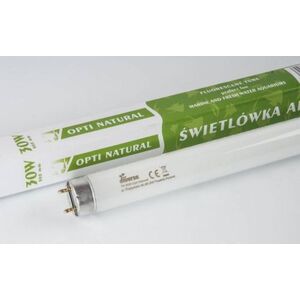 Diversa ŚWIETLÓWKA T8 NATURAL 30W