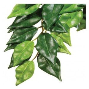 Hagen EXOTERRA ROŚLINA FICUS S