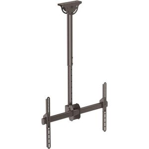 StarTech Uchwyt sufitowy FPCEILPTBSP 32'' - 75''