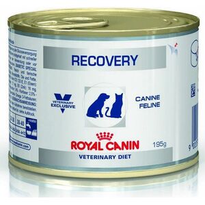 Royal Canin Veterinary Diet Recovery puszka 195g