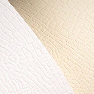 Argo Papier ozdobny Galeria Papieru borneo kremowy A4 kremowy 220g 20 ark