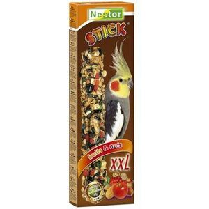 Nestor KOLBA XXL PAPUGA SR.OWOC/ORZECHOWA