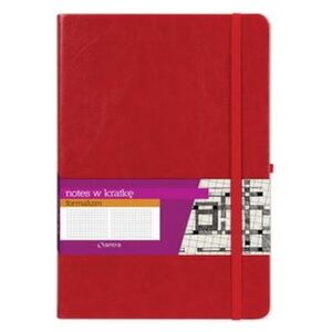Antra Notes A5 Kratka Formalizm Czerwony ANTRA