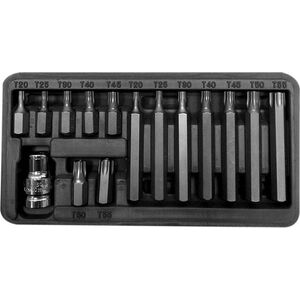 Pro-Line Zestaw bitów 3/8" Torx T20-T55 15 elementów (10745)