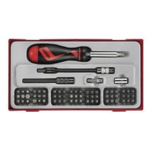 Teng Tools Zestaw wkrętaka z grotami wymiennymi 74 elementy (14403-0103)