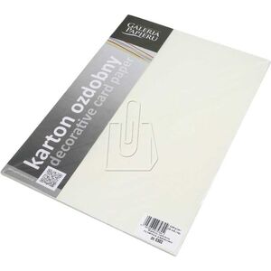 Argo KARTON OZDO.A4 SATYNA BIAŁY 20ARK.220G KARTON OZDOBNY PREMIUM GALERIA PAPIERU - 201104