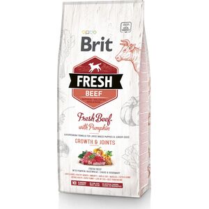 Brit Fresh Beef With Pumpkin Puppy Large 2.5kg