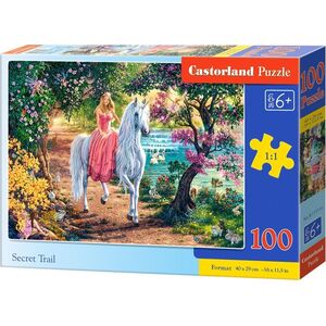 Castorland Puzzle 100 Secret Trail CASTOR