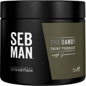 Sebastian Professional Plaukų pomada vyrams Sebastian Professional SEB MAN The Dandy Shiny 75 ml