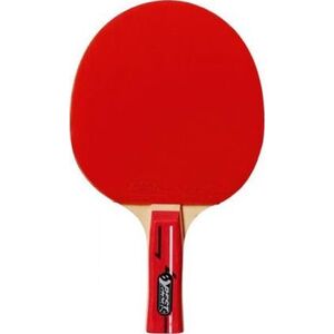 Best Sporting Paletka do tenisa stołowego poziom Trening szybkości (20125)