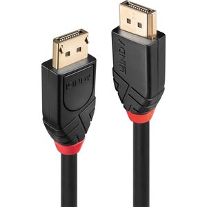 Kabel Lindy DisplayPort - DisplayPort 10m czarny (41078)