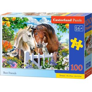 Castorland Puzzle 100 Best Friends