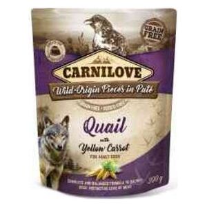 Carnilove Brit Carnilove Quail Yellow Carrot Przepiórka Żółta Marchew Bezzbożowa 300 g