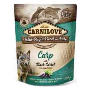 Carnilove Brit Carnilove Carp Black Carrot Karp Czarna Marchewka 300 g