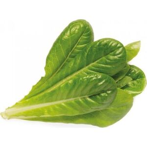 Click And Grow Click and Grow refill sałata rzymska 3-pak