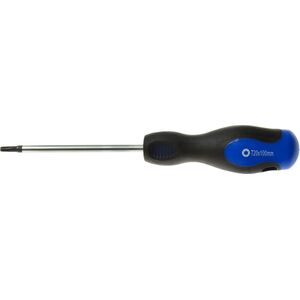 Geko Wkrętak torx t20x100 mm GEKO (10/100)