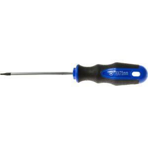 Geko Wkrętak torx t6x75 mm GEKO (10/100)