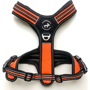 All For Dogs ALL FOR DOGS SZELKI 3x-SPORT POMARAŃCZ M