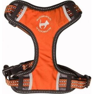 All For Dogs ALL FOR CATS SZELKI SPORTOWE XS POMARAŃ.