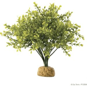 Exo Terra Roślina sztuczna – Boxwood Bush