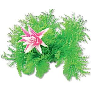 Happet HAPPET ROŚLINA FOLIA 10CM / 1F12