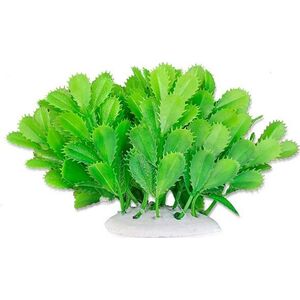 Happet HAPPET ROŚLINA FOLIA 10CM / 1F10