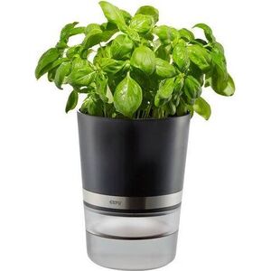 Gefu Gefu Botanico Herb Pot