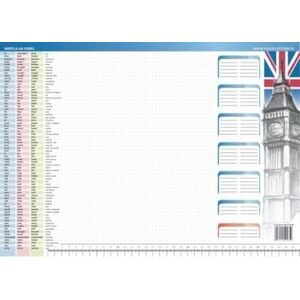 Visual System Biuwar - Irregular verbs (442859) - 5903111525859