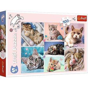 Trefl Puzzle 100 elementów W kocim świecie