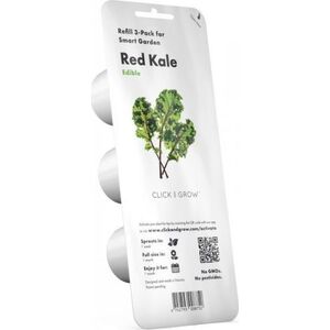 Click And Grow Click&Grow Nasiona Smart Soil jarmuż 3pak