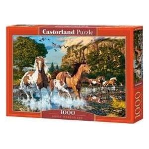 Castorland Puzzle 1000 Konie CASTOR
