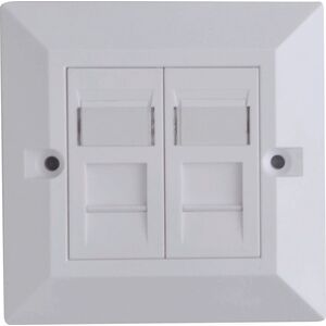 Lanview CAT6 Faceplate Dual Gang UK