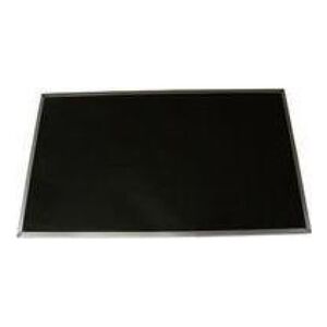 Lenovo LCD Panel