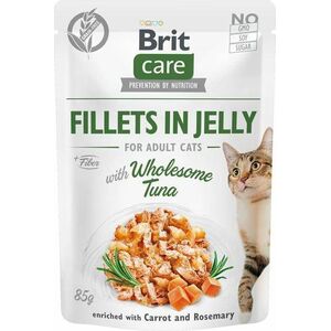 Brit CARE KOT saszetka FJ WHOLESOME TUNA /24 85g